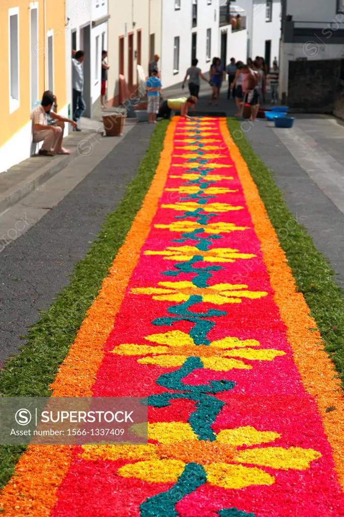Local residents making flower carpets for the procession of Nossa Senhora da Piedade, in the parish of Ponta Garça. Sao Miguel island, Azores.