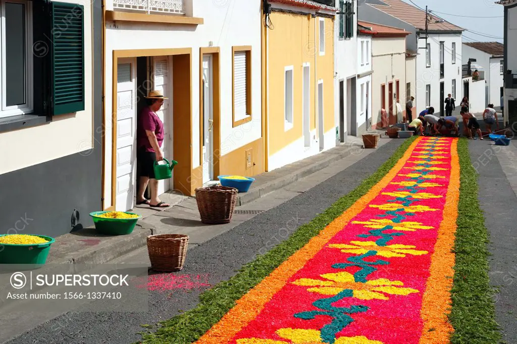Local residents making flower carpets for the procession of Nossa Senhora da Piedade, in the parish of Ponta Garça. Sao Miguel island, Azores.