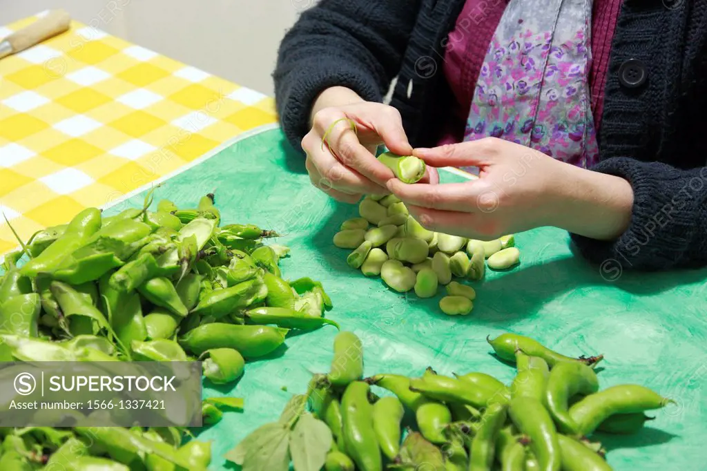 Woman removing fava beans from their pods.