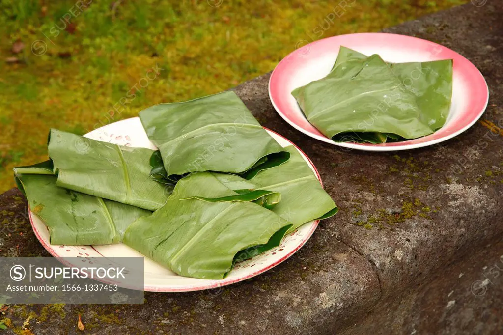 Goat cheese wrapped in ginger leaves (Hedychium gardnerianum) to keep it fresh. Azores islands, Portugal.