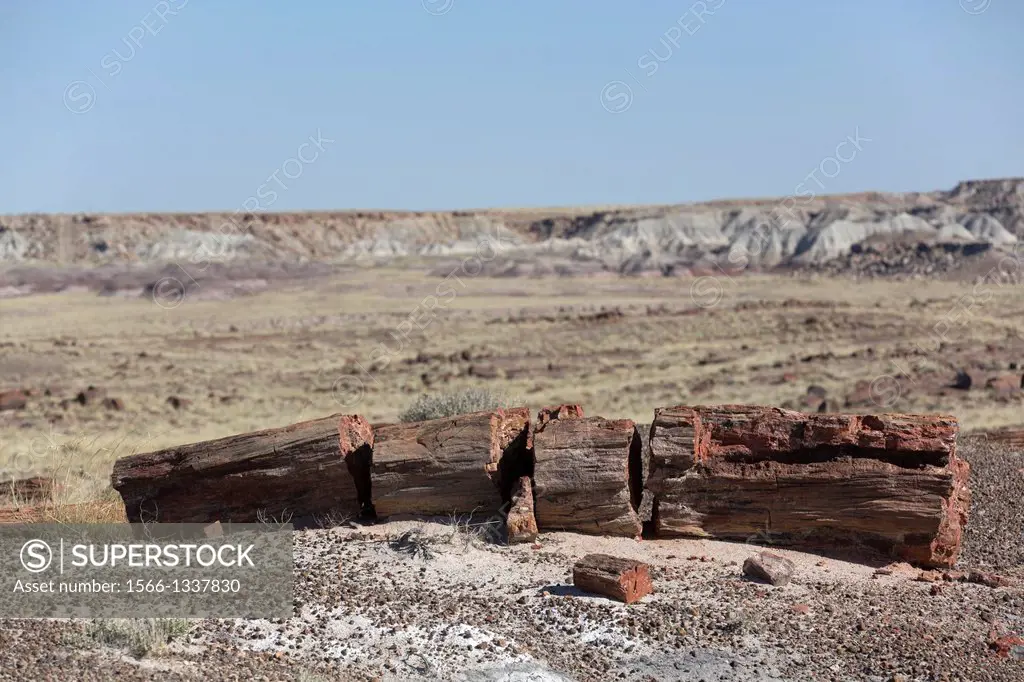 USA, Arizona, Petrified Forest National Park, Long Logs Trail, petrified logs from the late Triassic period, 225 million years ago.