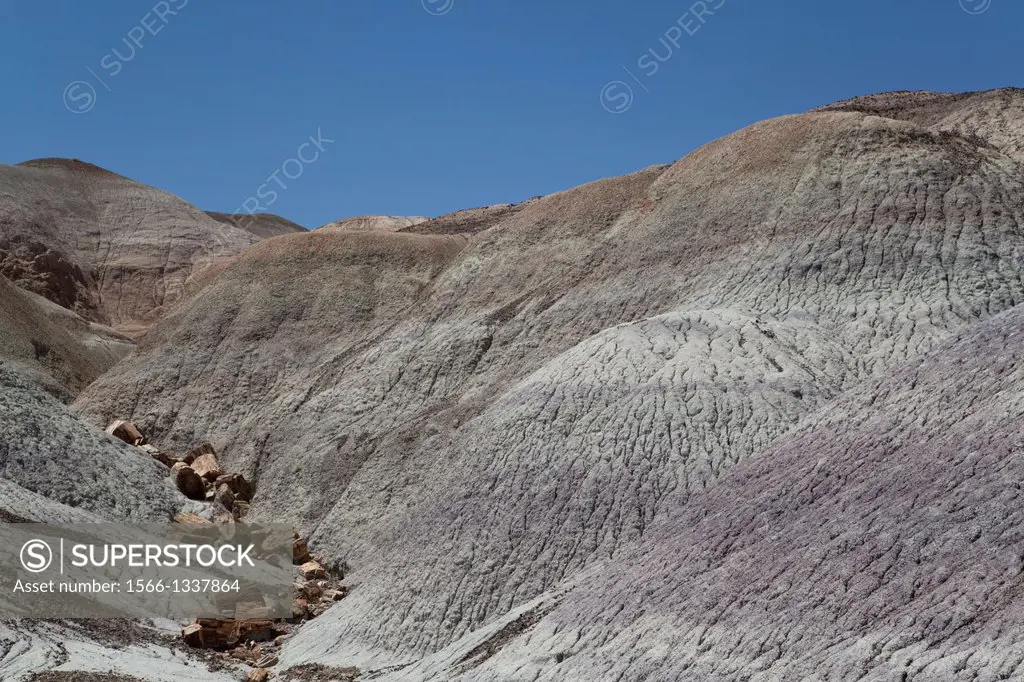 USA, Arizona, Petrified Forest National Park, Blue Mesa, Blue Mesa Trail, sedimentary layers of bluish bentonite clay with petrified wood.