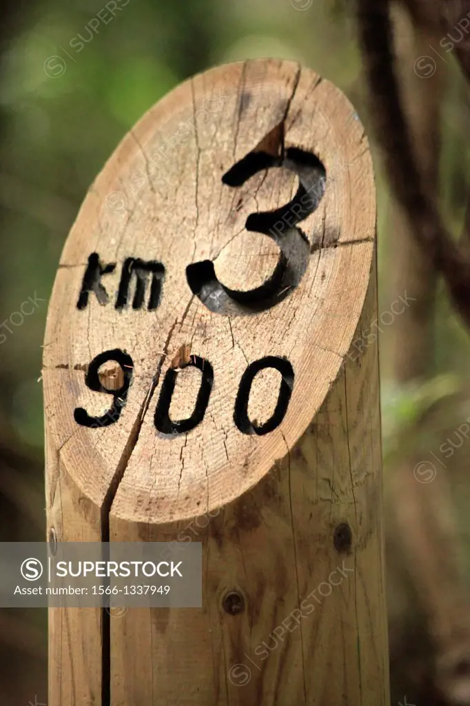 wooden distance marker or post in an Anaga forest . Tenerife island, spain