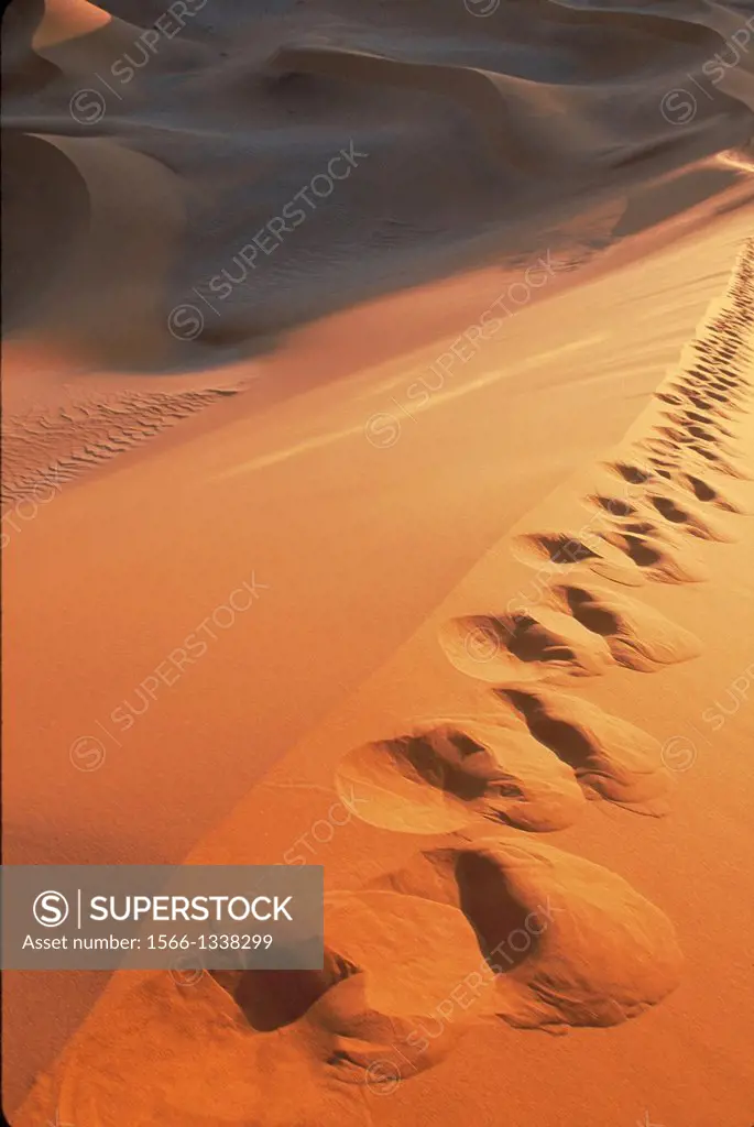 Footprints on the dunes