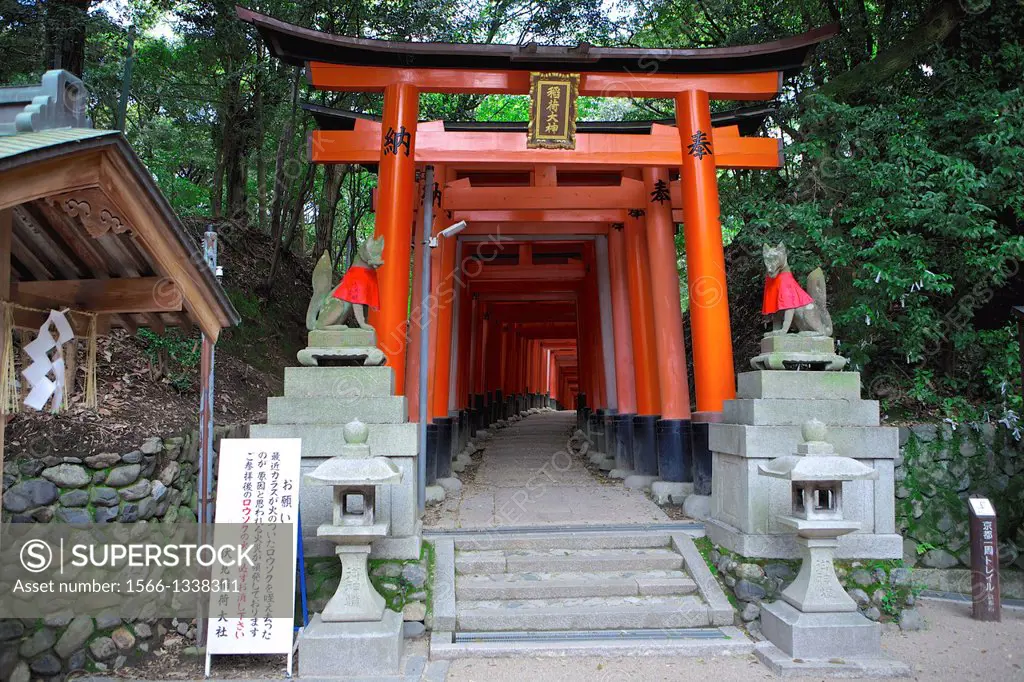 Fushima Inari Shrine. Japan