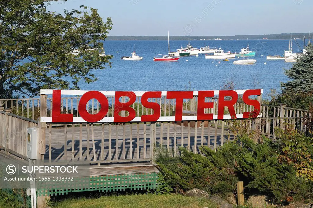 By McLaughlins Lobster Shack, in Lincolnville, Maine.