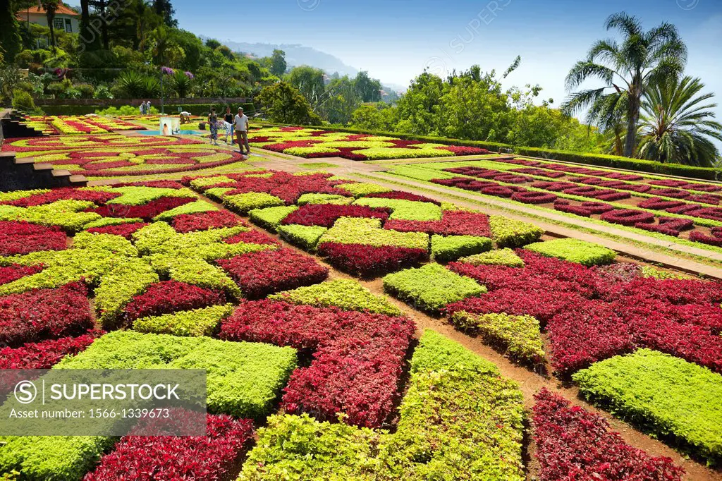 The Madeira Botanical Garden - Funchal, Madeira, Portugal.