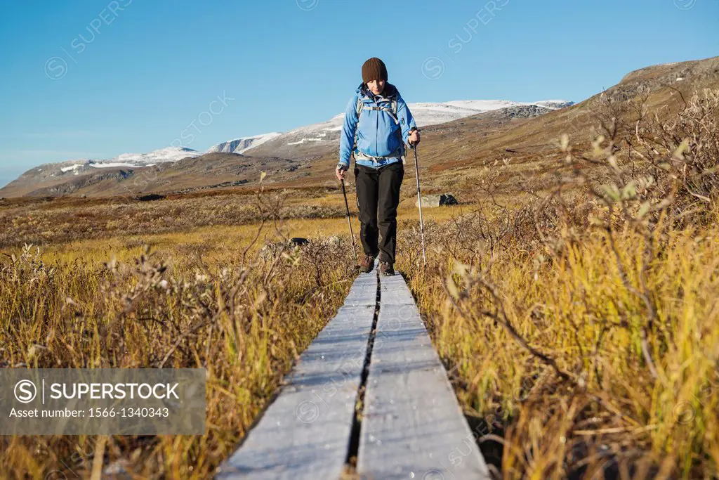 Female hiker walks along frost covered wooden walkway on Kungsleden trail, Lappland, Sweden.