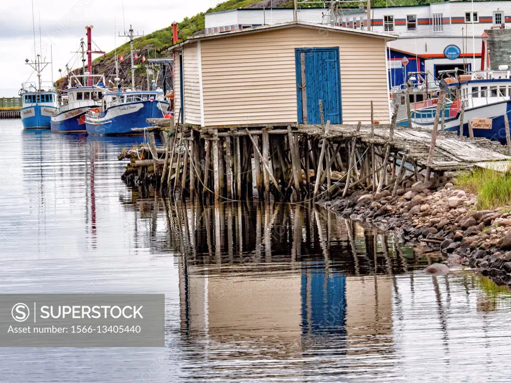 Maddox Cove Newfoundland Harbor.