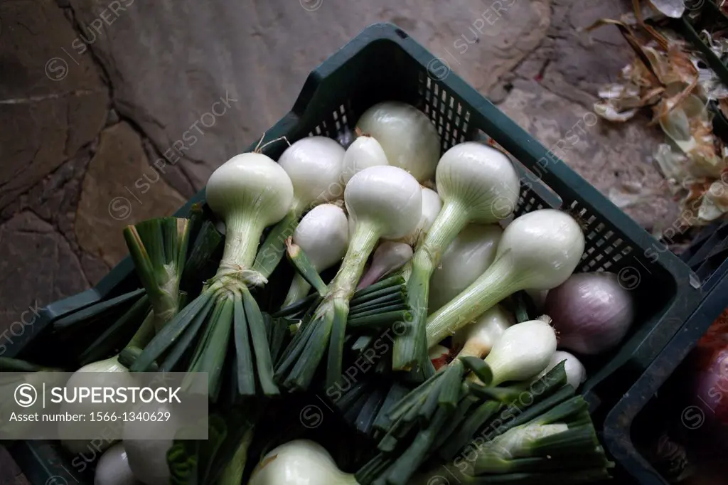 A box with onions lay on the soil in Los Tamayos organic farm in Prado del Rey, Cadiz, Andalusia, Spain, July 16, 2013. Los Tamayos organic farm has b...