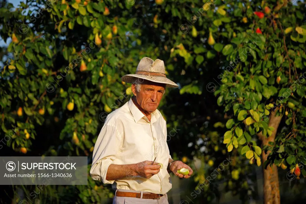 A senior farmer wearing a straw hat eats a pear in Los Tamayos organic farm in Prado del Rey, Cadiz, Andalusia, Spain, June 27, 2013. Los Tamayos orga...