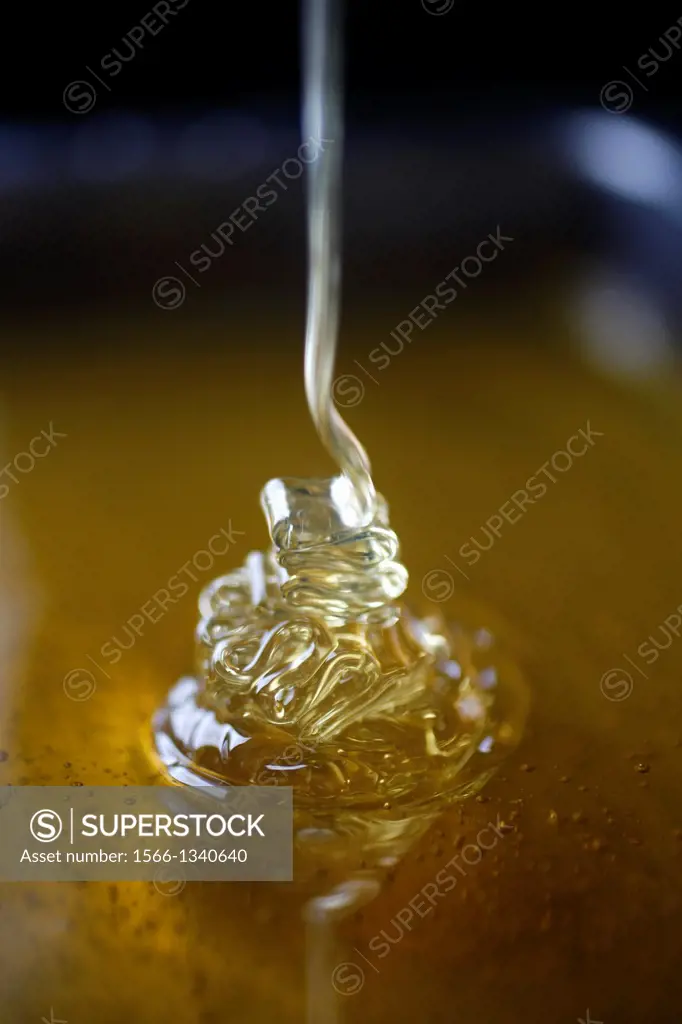 Honey falls in a tray in Puremiel, a honey company that produces organic raw honey, Cadiz, Andalusia, Spain, June 6, 2013.