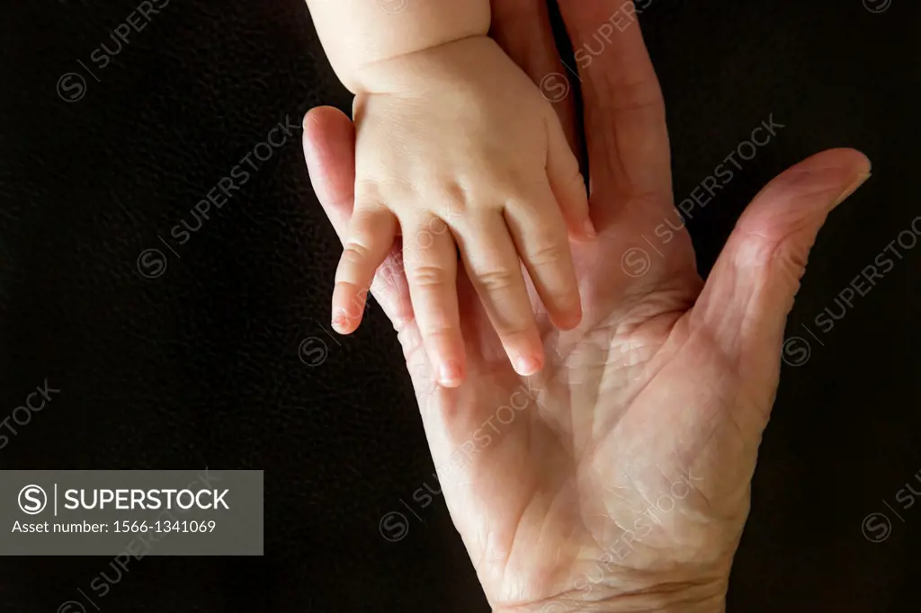 Hands of grandmother and grandchild.