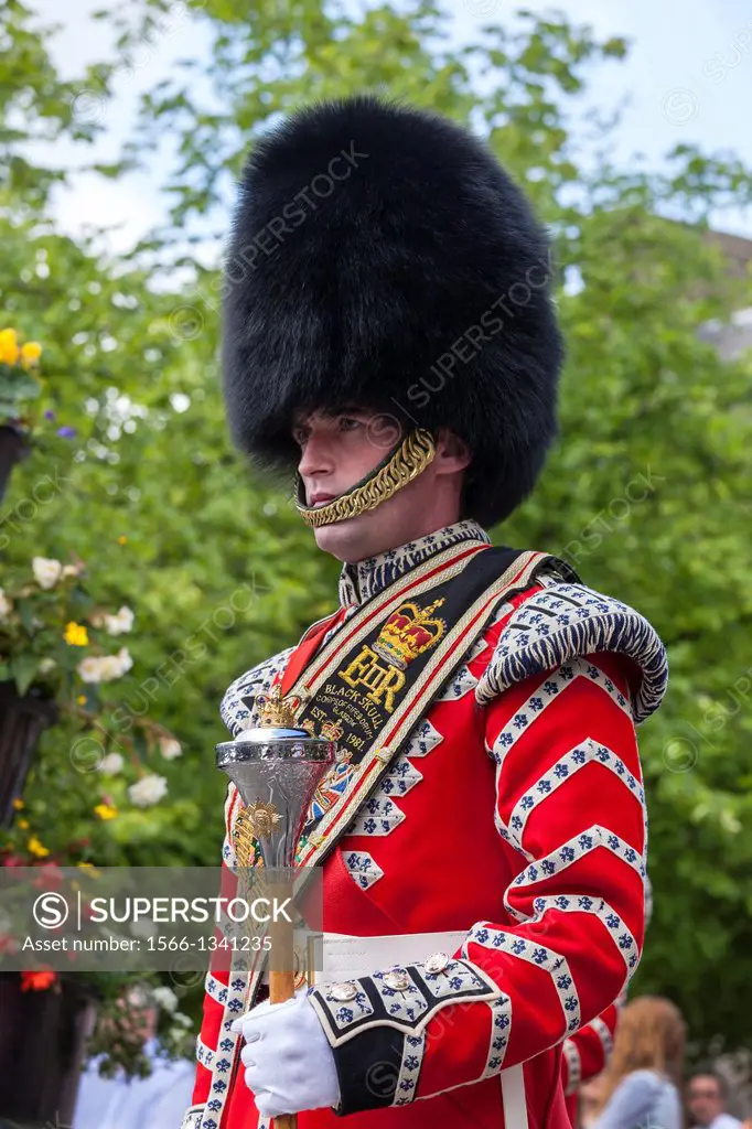 Drum major wearing a bearskin on parade at an Orange Lodge Parade, Glasgow, Scotland, UK.