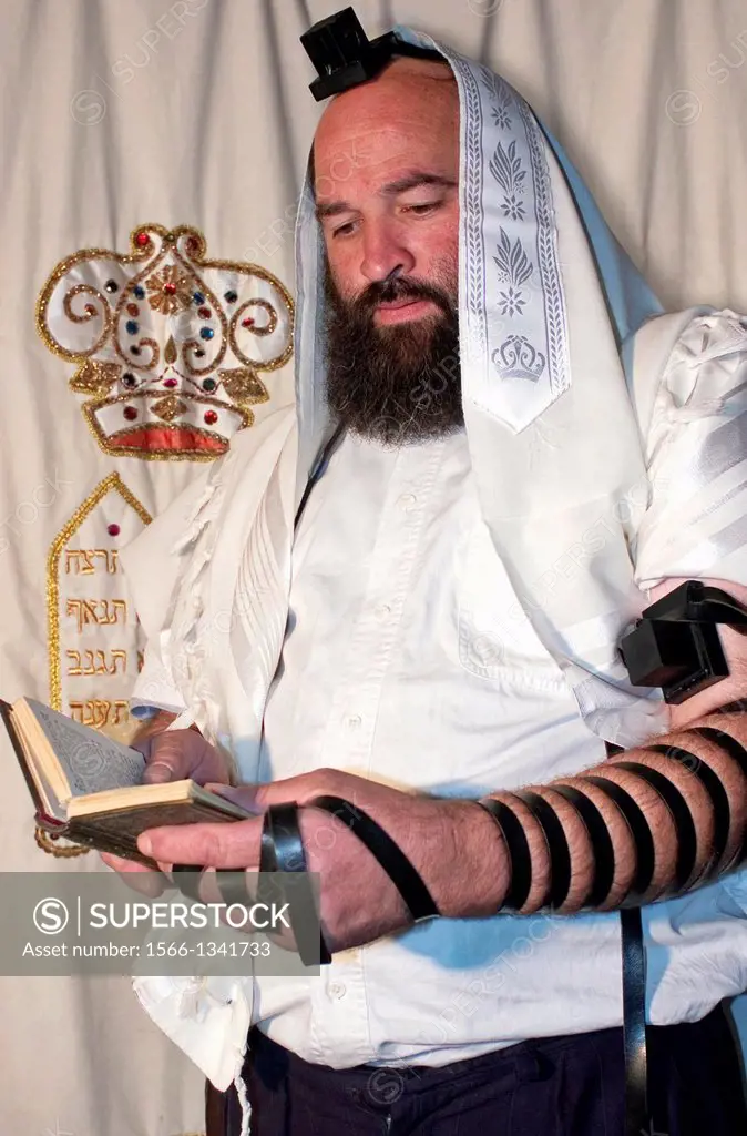 An Israeli Jewish orthodox man prays in a synagogue, reads a torah book (siddur) and wears, tefillin, tzitzit and tallit.