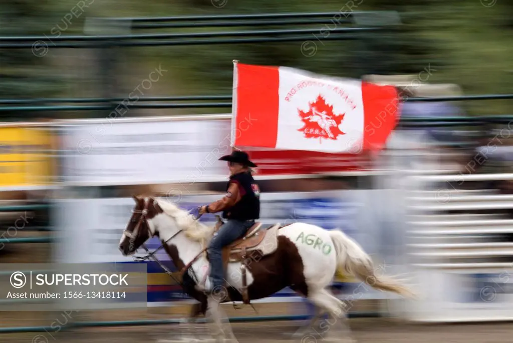 Cowboy riding a horse, carrying a Canadian flag in a rodeo in Pincher Creek, Alberta, Canada