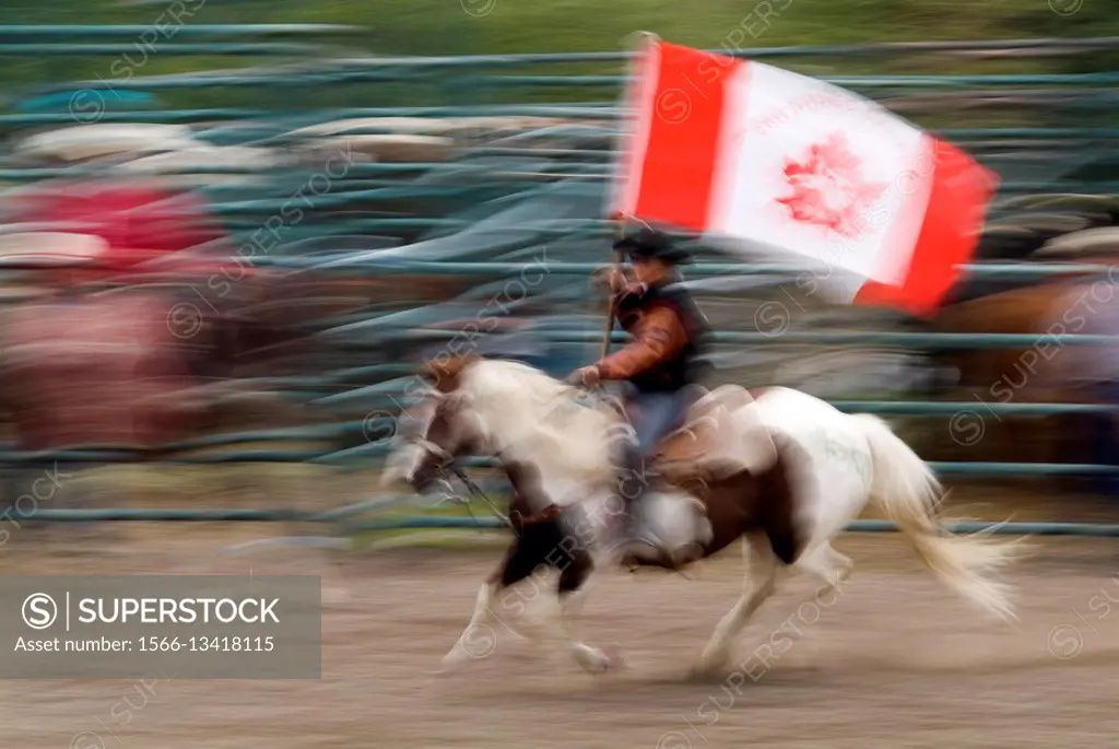 Cowboy riding a horse, carrying a Canadian flag in a rodeo in Pincher Creek, Alberta, Canada
