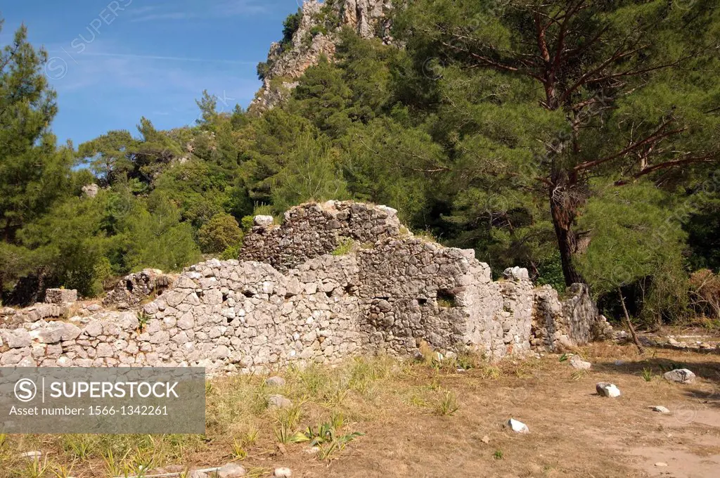 Ruin, Olympos (Lycia) Turkey, Western Asia.