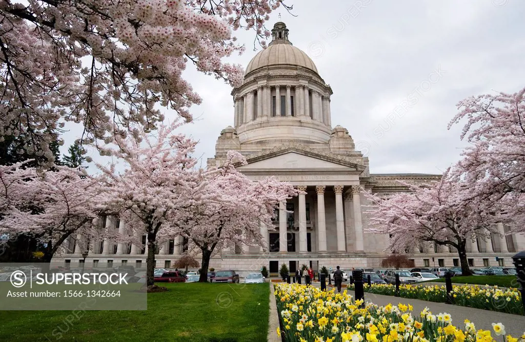 USA, WASHINGTON STATE, OLYMPIA, STATE CAPITOL BUILDING WITH SPRING FLOWERS.