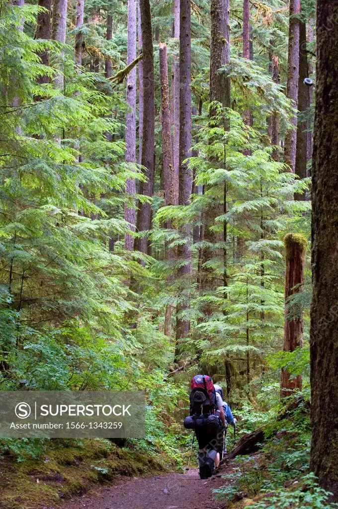 USA, WASHINGTON STATE, OLYMPIC PENINSULA, OLYMPIC NATIONAL PARK, SOL DUC RIVER VALLEY, TEMPORATE RAIN FOREST, BACKPACKERS.