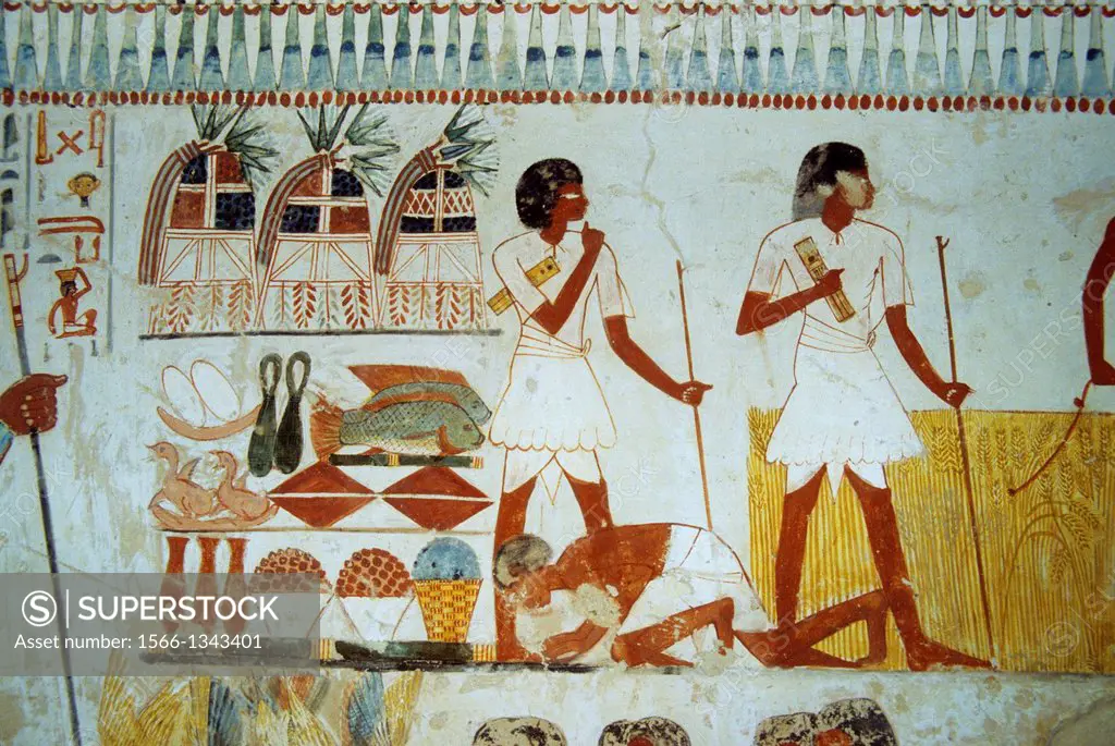 EGYPT, NEAR LUXOR, COLORFUL FRESCOES ON INTERIOR WALLS OF THE TOMB OF MENNA.