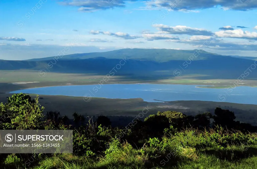 TANZANIA, NGORONGORO CRATER, OVERVIEW FROM CRATER RIM.