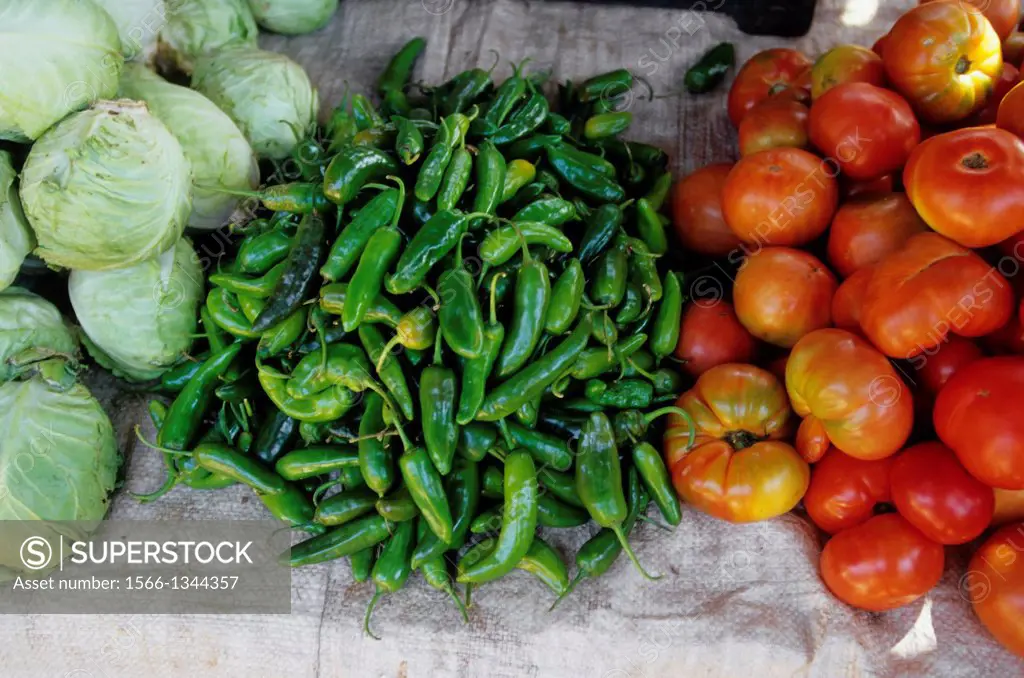 ETHIOPIA, BAHAR DAR, MARKET SCENE, CABBAGE, GREEN CHILI PEPPERS AND TOMATOES.