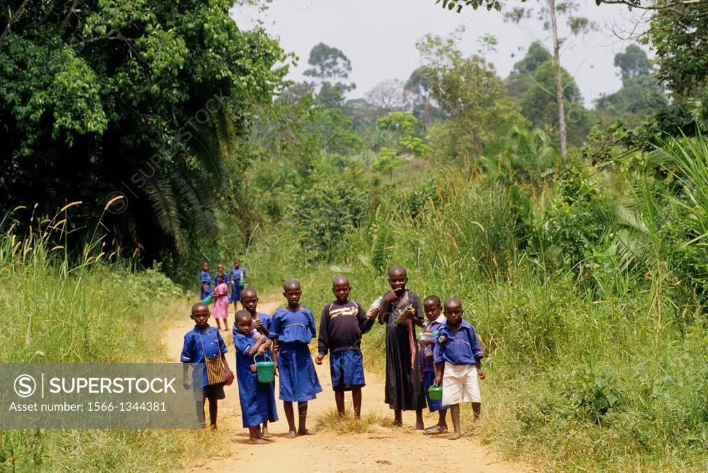 UGANDA, NEAR FORT PORTAL, SCHOOLCHILDREN IN UNIFORM WALKING HOME FROM SCHOOL.