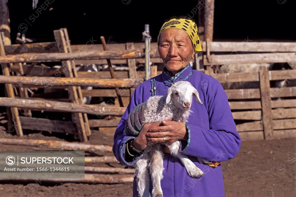 MONGOLIA,NEAR ULAANBAATAR, MONGOLIAN GRASSLAND IN WINTER, STEPPES, MONGOLIAN WOMAN, 3 DAY OLD LAMB.