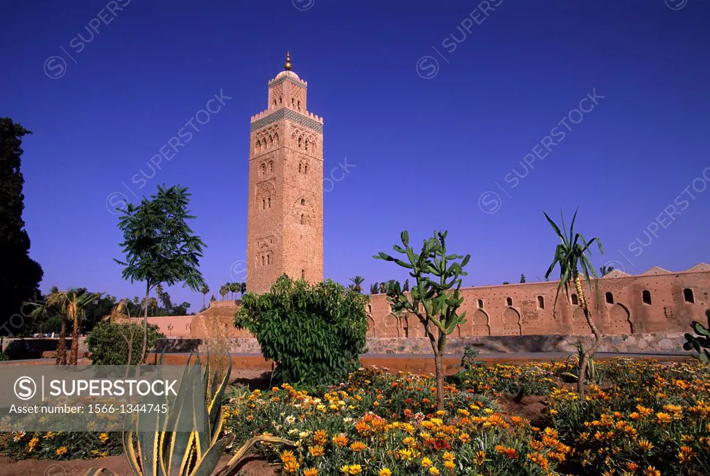 MOROCCO, MARRAKECH, KOUTOUBIA MOSQUE, MINARET, FLOWERS IN FOREGROUND.