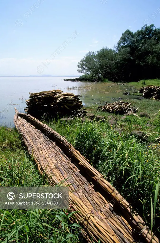 ETHIOPIA, BAHAR DAR, LAKE TANA, PAPYRUS BOAT WITH FIREWOOD IN BACKGROUND.