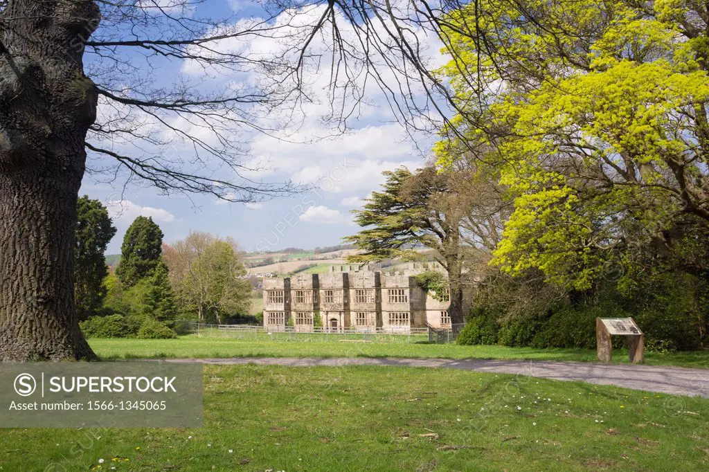 The ruins of Gibside Hall in Northumberland. National Trust.