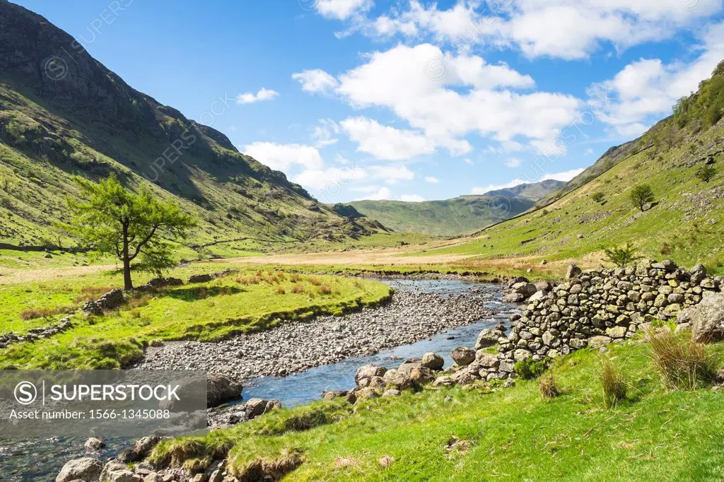 Looking towards Stonethwaite fell, Langstrath Beck in the Lake District.