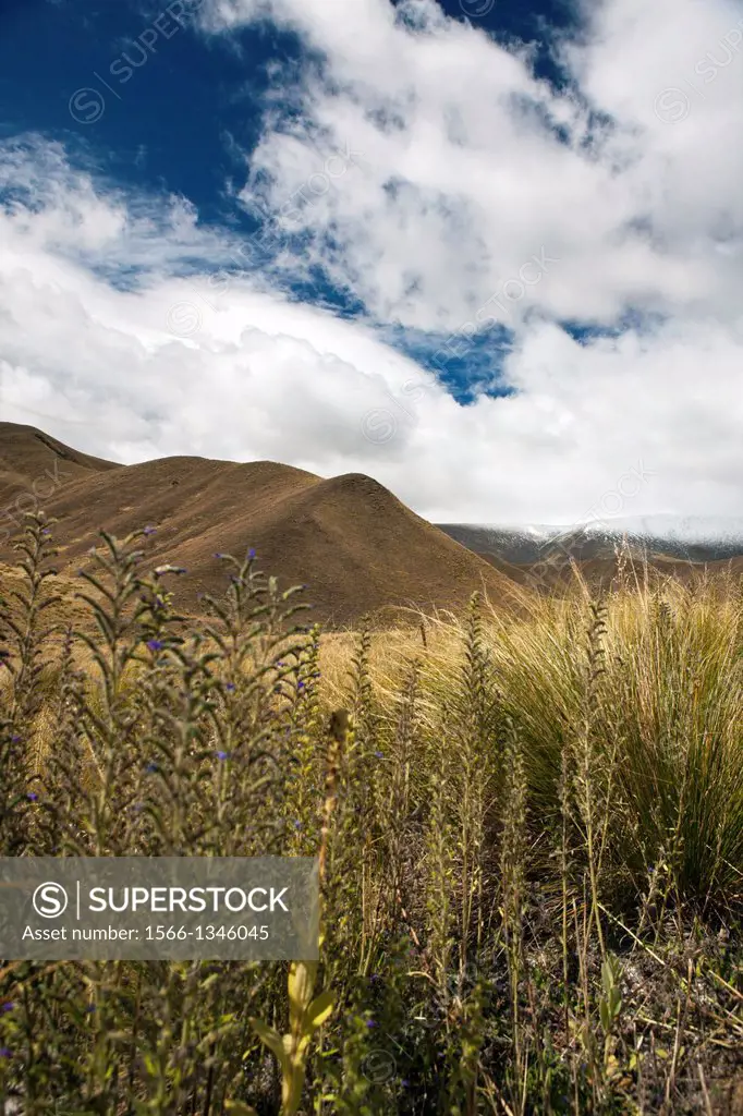 Mountainous landscape with hills and vegetation, near Cromwell, Central Otago, South Island, New Zealand.