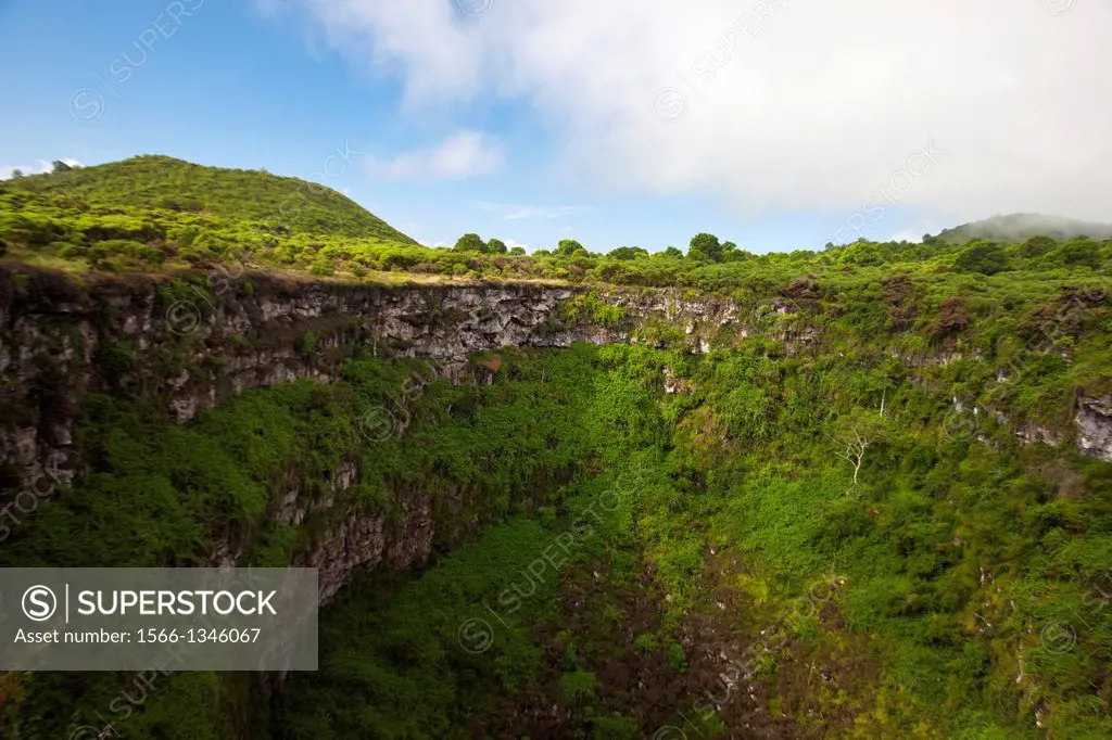 View of Los Gemelos / ""The Twins"", one a pair of volcanic depressions, Galapagos Islands National Park, Santa Cruz Island, Galapagos, Ecuador.