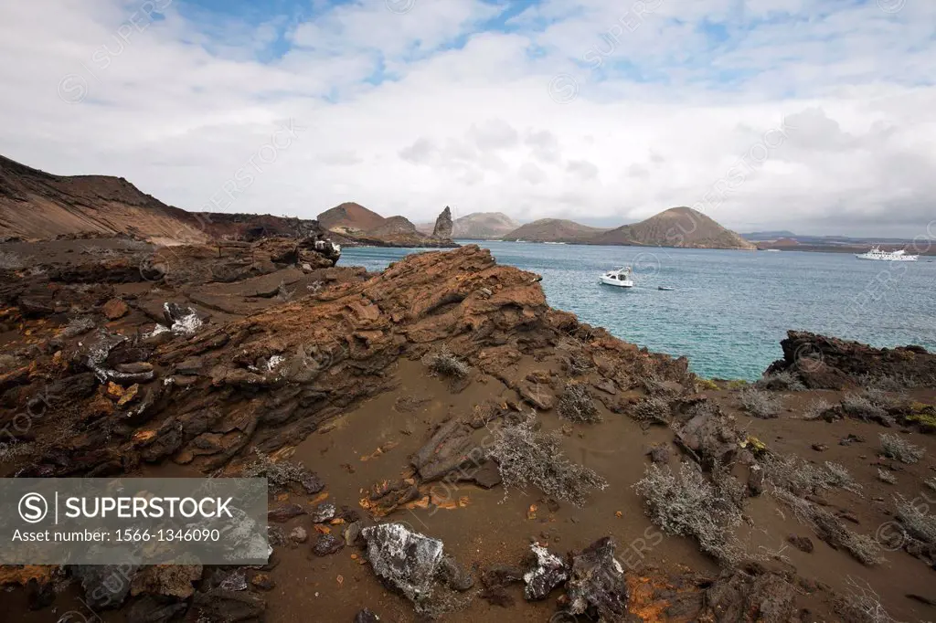 Landscape of lava rocks with Grey Matplants (Tiquilia nesiotica) and bay with ships, Galapagos Islands National Park, Bartolome Island, Galapagos, Ecu...