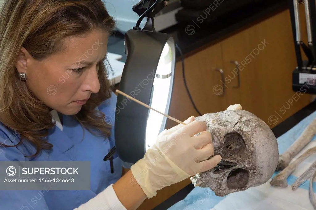 Waco, Texas - Forensic scientist Dr. Lori Baker and her students at Baylor University work to identify the remains of unidentified migrants who died t...