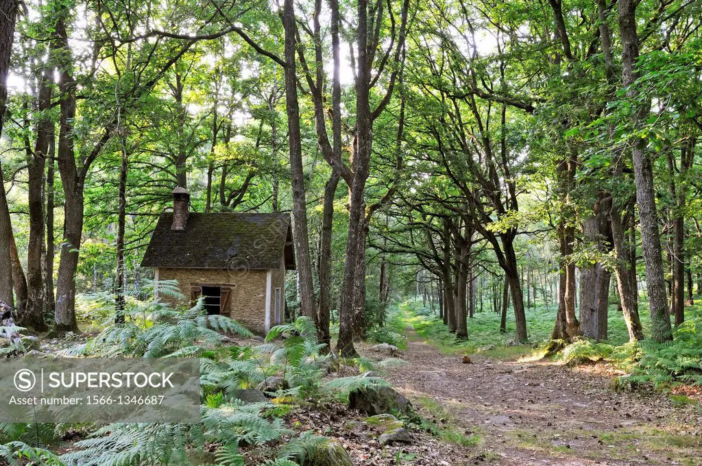 cabane forestiere de La Roche aux Loups,Foret de Rambouillet,departement des Yvelines,region Ile de France,France,Europe/forest house named La Roche a...