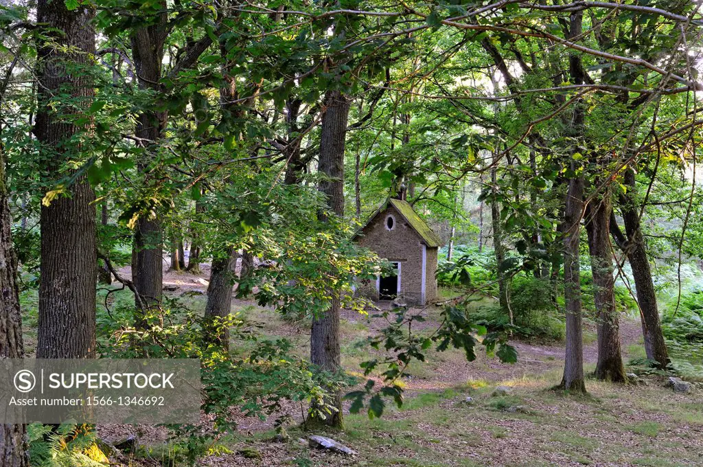 cabane forestiere de La Roche aux Loups,Foret de Rambouillet,departement des Yvelines,region Ile de France,France,Europe/forest house named La Roche a...