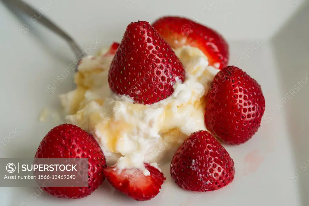 Healthy dessert, Greek yogurt with honey and strawberries.