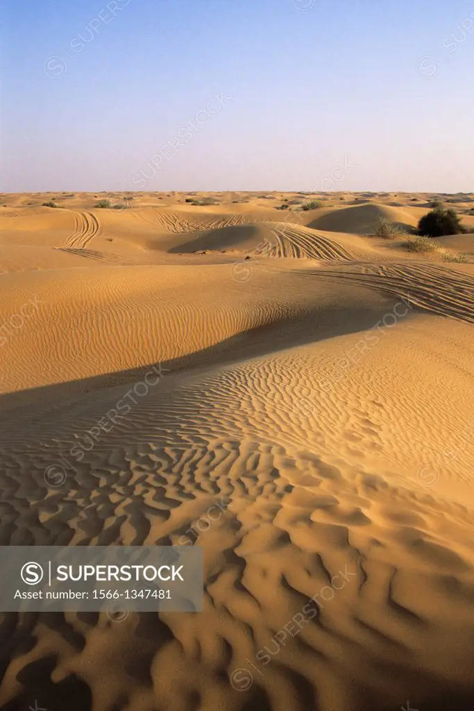 UNITED ARAB EMIRATES, DUBAI, DUBAI DESERT CONSERVATION RESERVE, TIRE TRACKS.