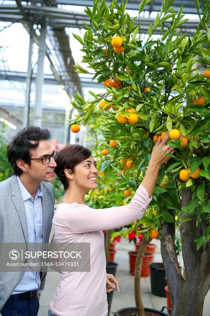 Couple buying fruit trees, garden center