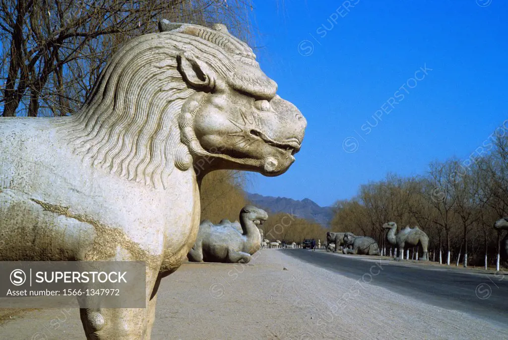 CHINA, PASSAGEWAY TO THE MING TOMBS, SACRED WAY, GIANT ANIMALS CARVED OF STONE.