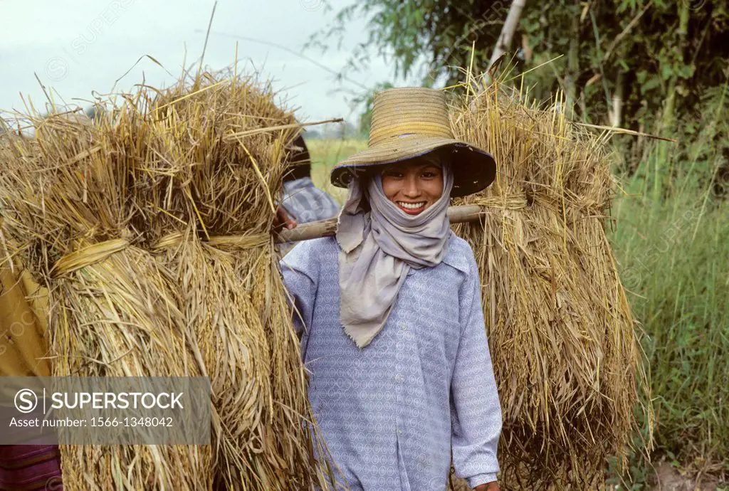 THAILAND, CENTRAL PLAINS, NEAR SUKOTHAI, PORTRAIT OF THAI FARM WOMAN.