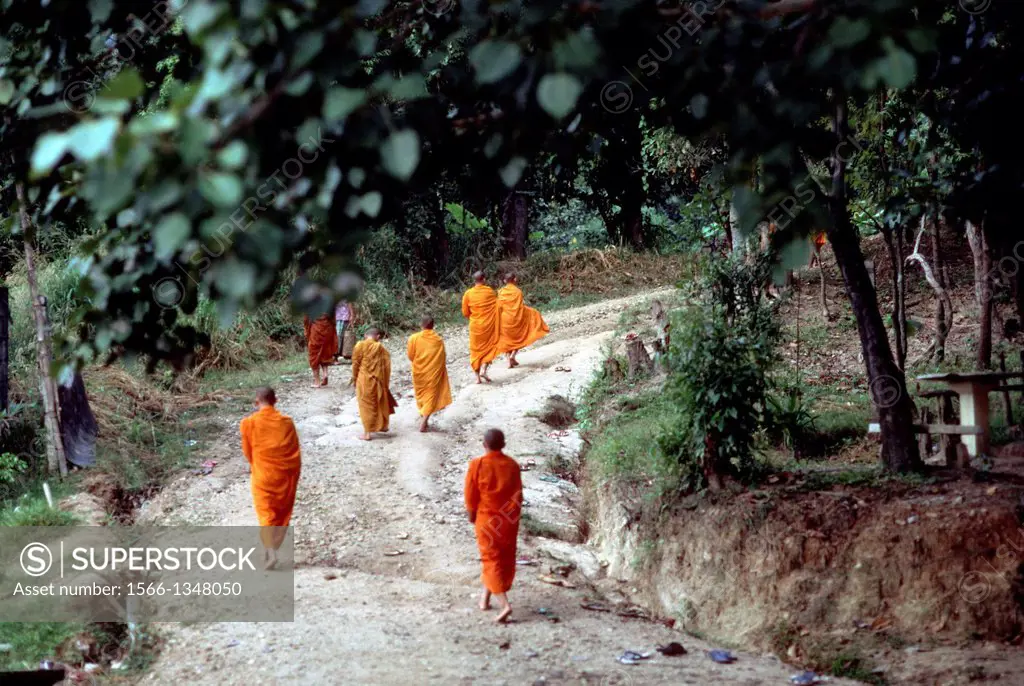 NO. THAILAND, CHIANG MAI, BUDDHIST MONKS ON THE WAY TO TEMPLE.