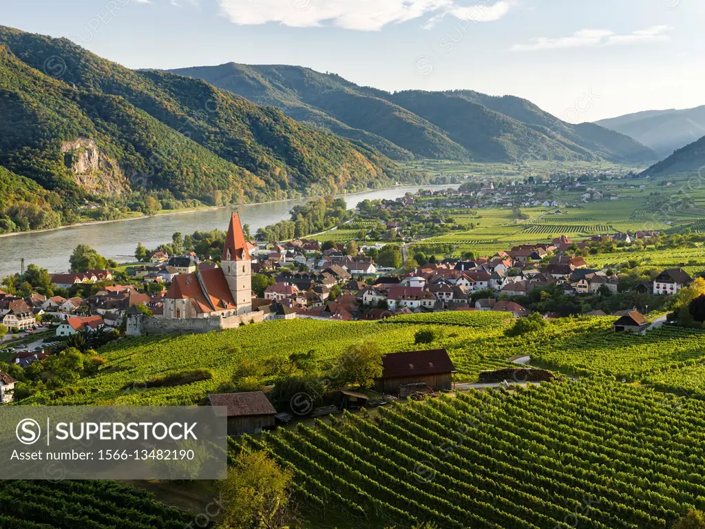 Medieval town of Weissenkirchen in the Wachau, with fortified church Mariae Himmelfahrt. The Wachau is a famous vineyard and listed as Wachau Cultural...