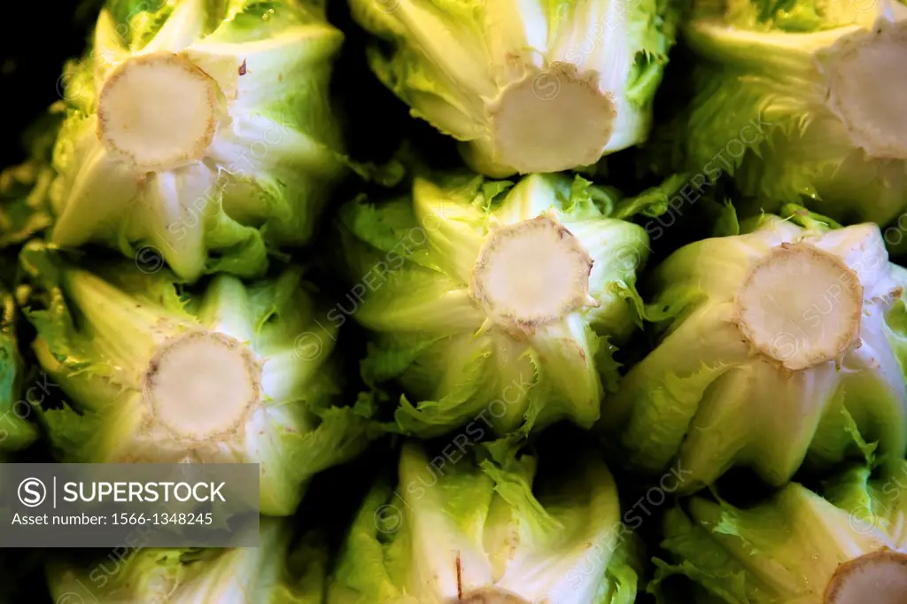 Image of lettuces as a background.