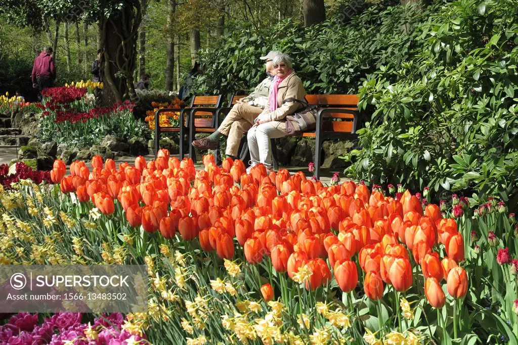 Netherlands, Amsterdam, keukenhof flowers park at spring