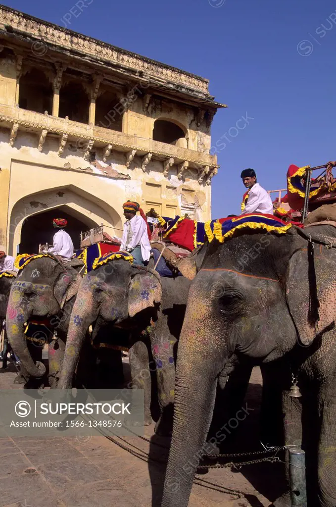 INDIA, RAJASTHAN, JAIPUR, AMBER FORT, ELEPHANTS AND MAHOUTS.