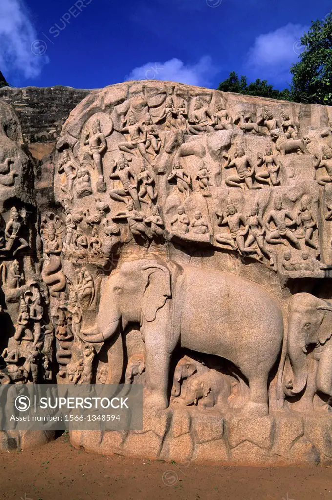 INDIA, NEAR MADRAS (CHENNAI), MAHABALIPURAM, GREAT PENANCE PANEL.